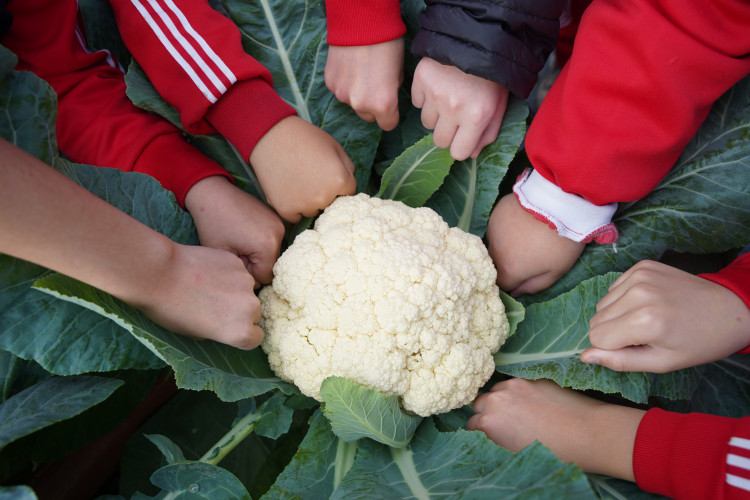 編號95圖片連結的縮圖